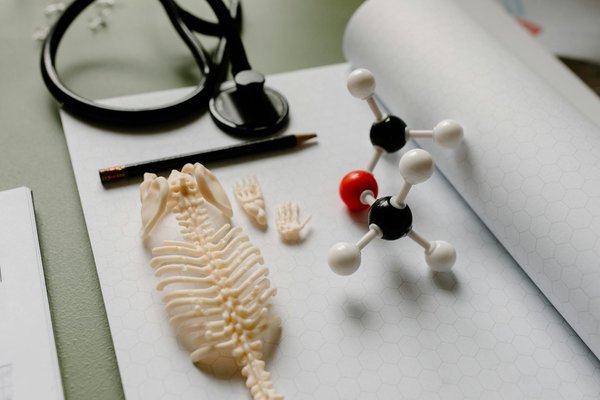 Les Zoos et le Bien-Être Animal : Enquête sur un Enjeu Crucial